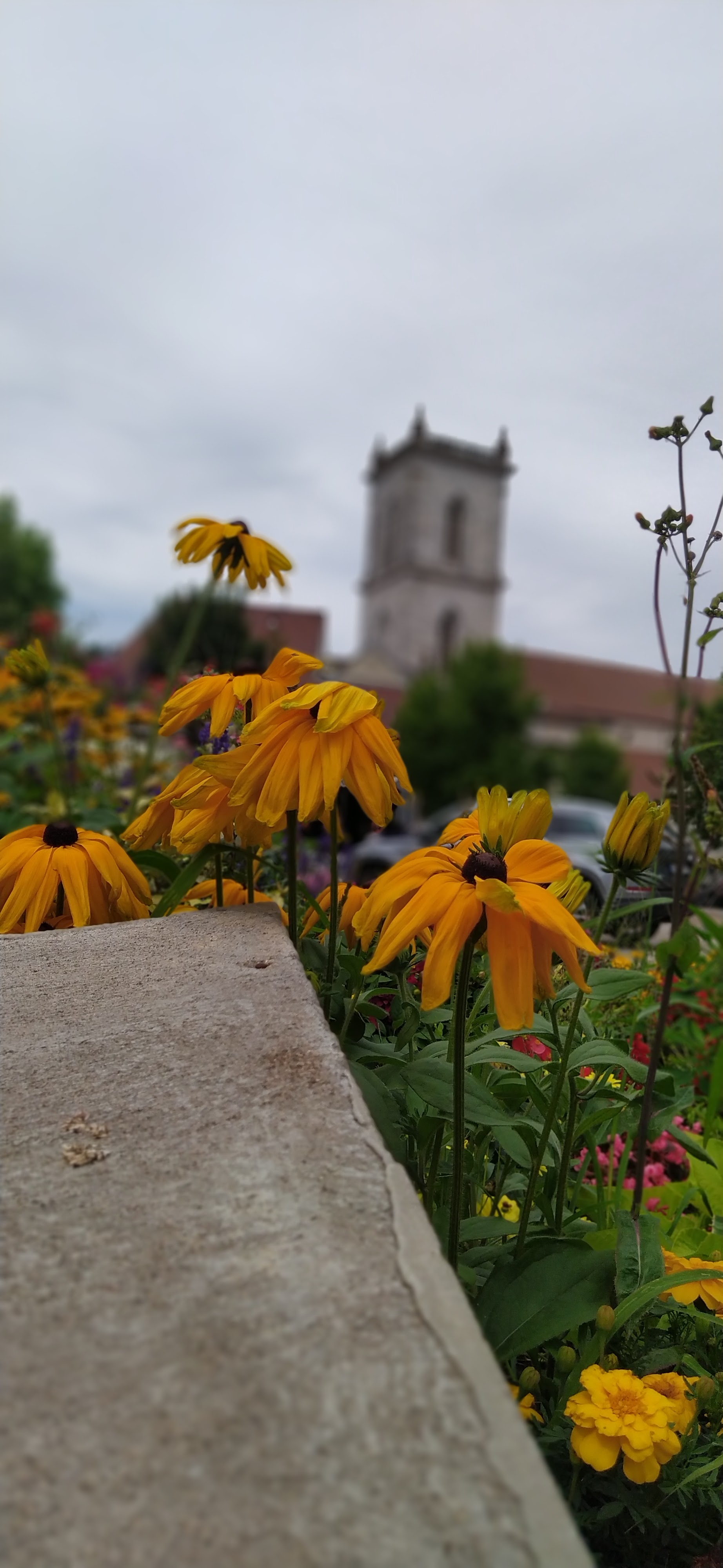 Photo n° 4 de l'avis de ludovic.a fait le 13/08/2021 à 21:27