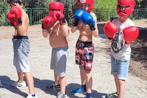 Boxing in Nice image