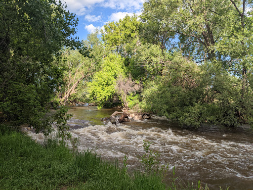 Cottonwood Hollow Natural Area