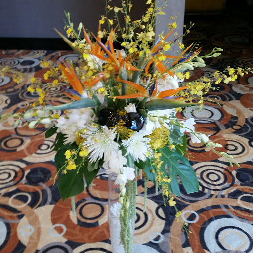 Florist «Annie Occasion for Any Occasion», reviews and photos, 148 S Bloomingdale Rd #110, Bloomingdale, IL 60108, USA