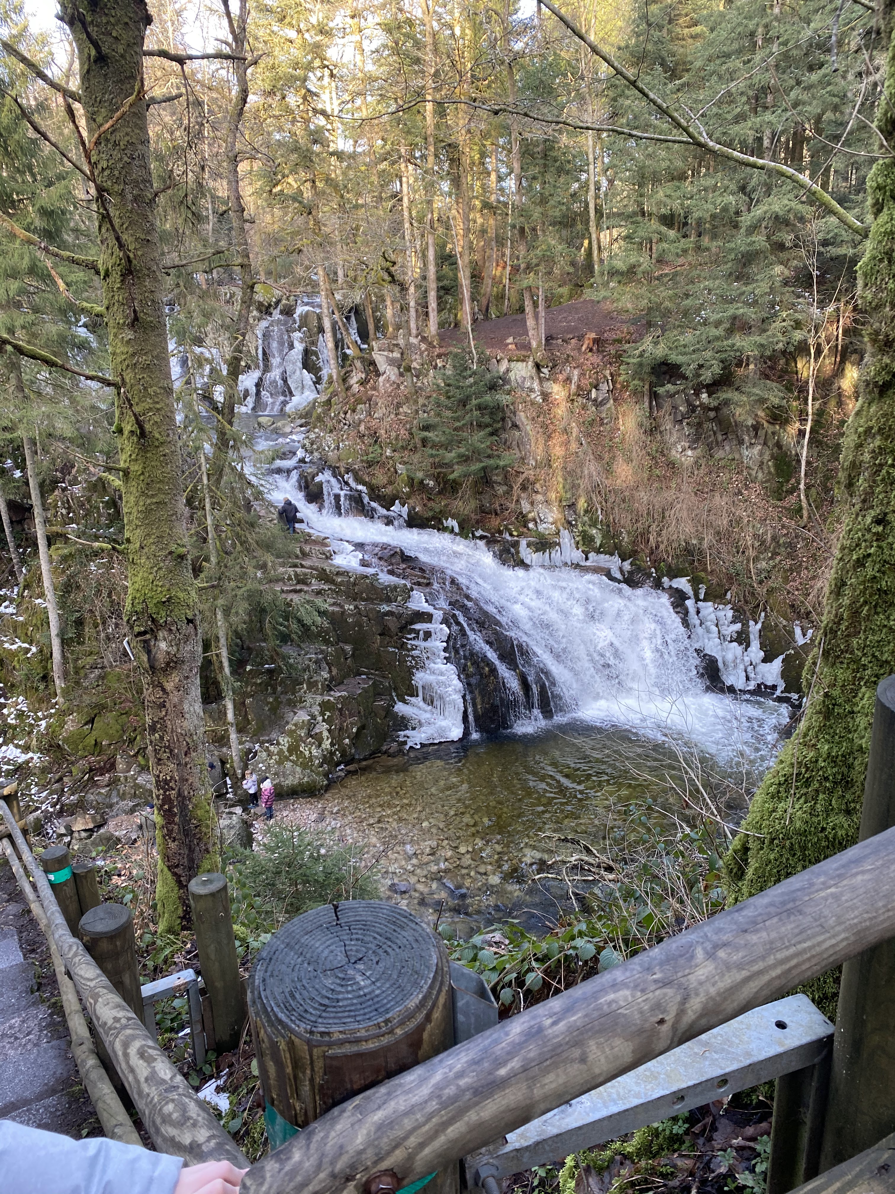 Photo n° 1 de l'avis de Thibault.p fait le 21/02/2021 à 10:52