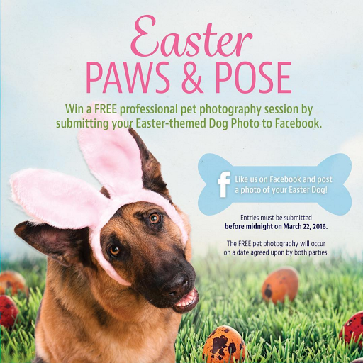 Pet Groomer «Woof Gang Bakery Rockwall», reviews and photos, 832 Steger Towne Rd, Rockwall, TX 75032, USA