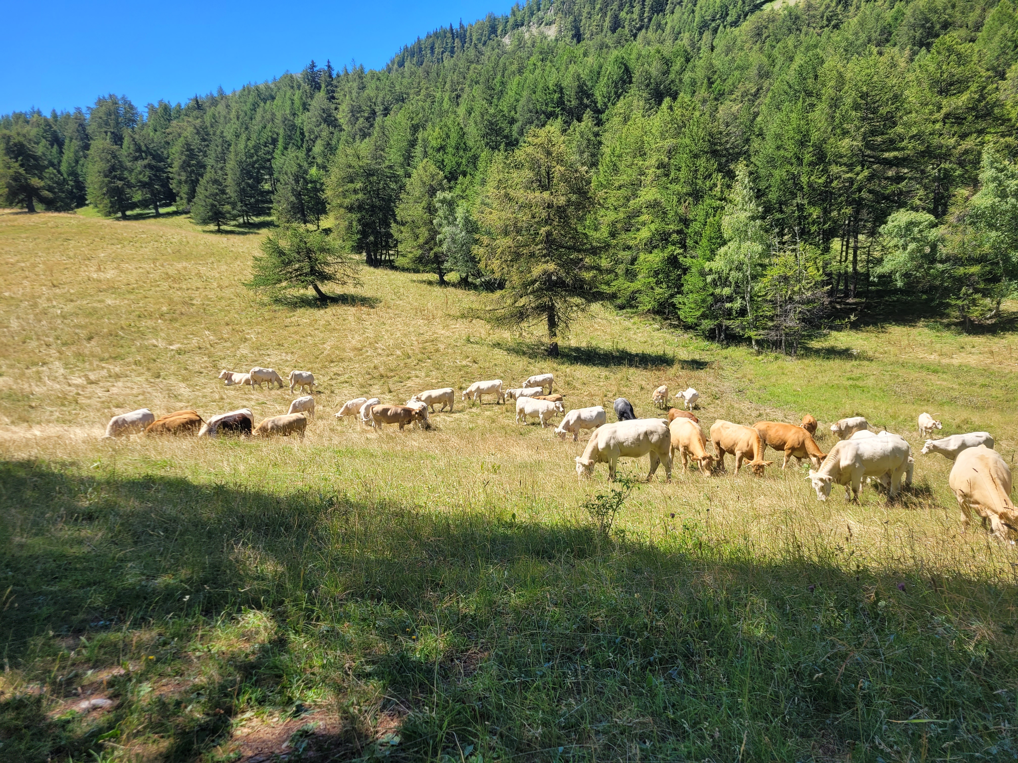 Photo n° 1 de l'avis de Lionel.e fait le 29/07/2023 à 18:49