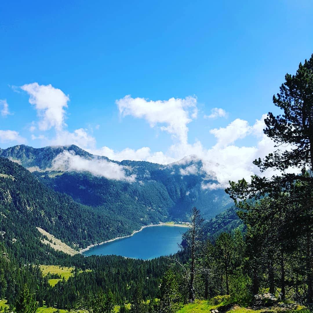 Photo n° 1 de l'avis de albert.u fait le 10/07/2019 à 13:10