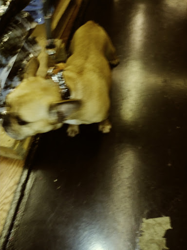 Pet Supply Store «Global Pet Food Outlet», reviews and photos, 20210 Normandie Ave, Torrance, CA 90502, USA