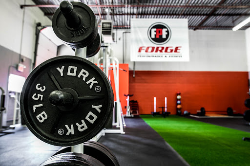 Forge Performance & Fitness
