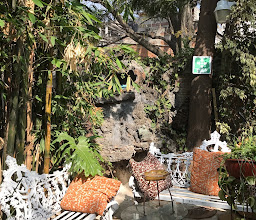 Mi Aldea Holistica photo