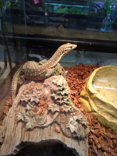 Pet Store «Just Pets», reviews and photos, 393 NY-5, Irving, NY 14081, USA