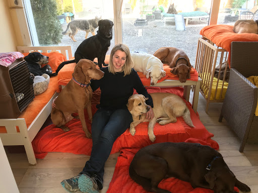 Lucky Dogs Daycare