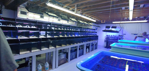 Aquarium «Atlantic Blue Aquariums», reviews and photos, 801 Northlake Blvd, North Palm Beach, FL 33408, USA