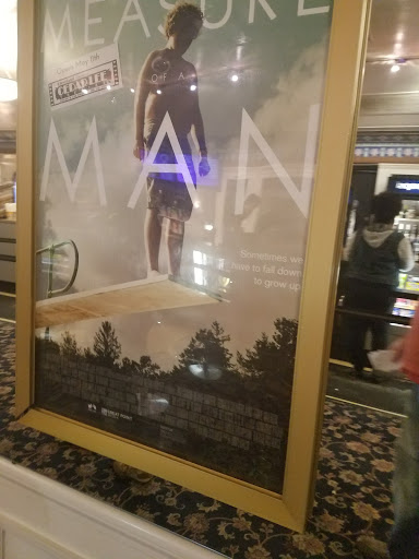 Movie Theater «Cedar Lee Theatre», reviews and photos, 2163 Lee Rd, Cleveland Heights, OH 44118, USA