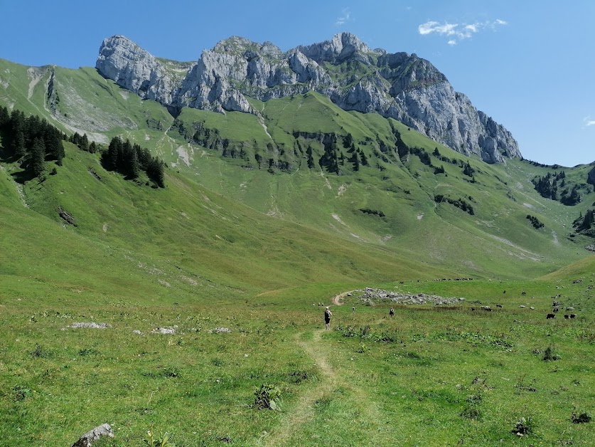 Goûter à l'Alpage à La Chapelle-d'Abondance (Haute-Savoie 74)