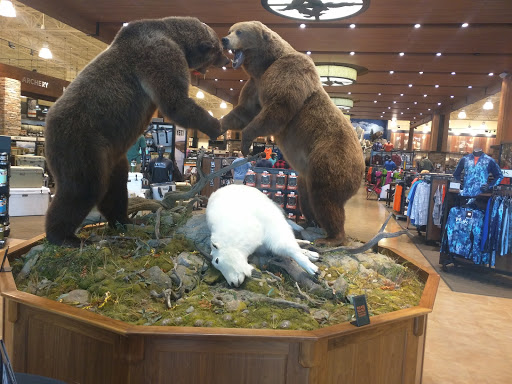 Outdoor Sports Store «Field & Stream», reviews and photos, 2075 Interchange Rd, Erie, PA 16509, USA