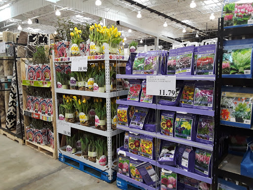 Department Store «Bon-Ton», reviews and photos, 443 E Main St, Westfield, MA 01085, USA