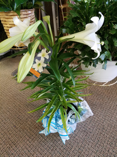 Florist «Alluring Floral and Event Planning», reviews and photos, 4475 Richfield Rd, Flint, MI 48506, USA