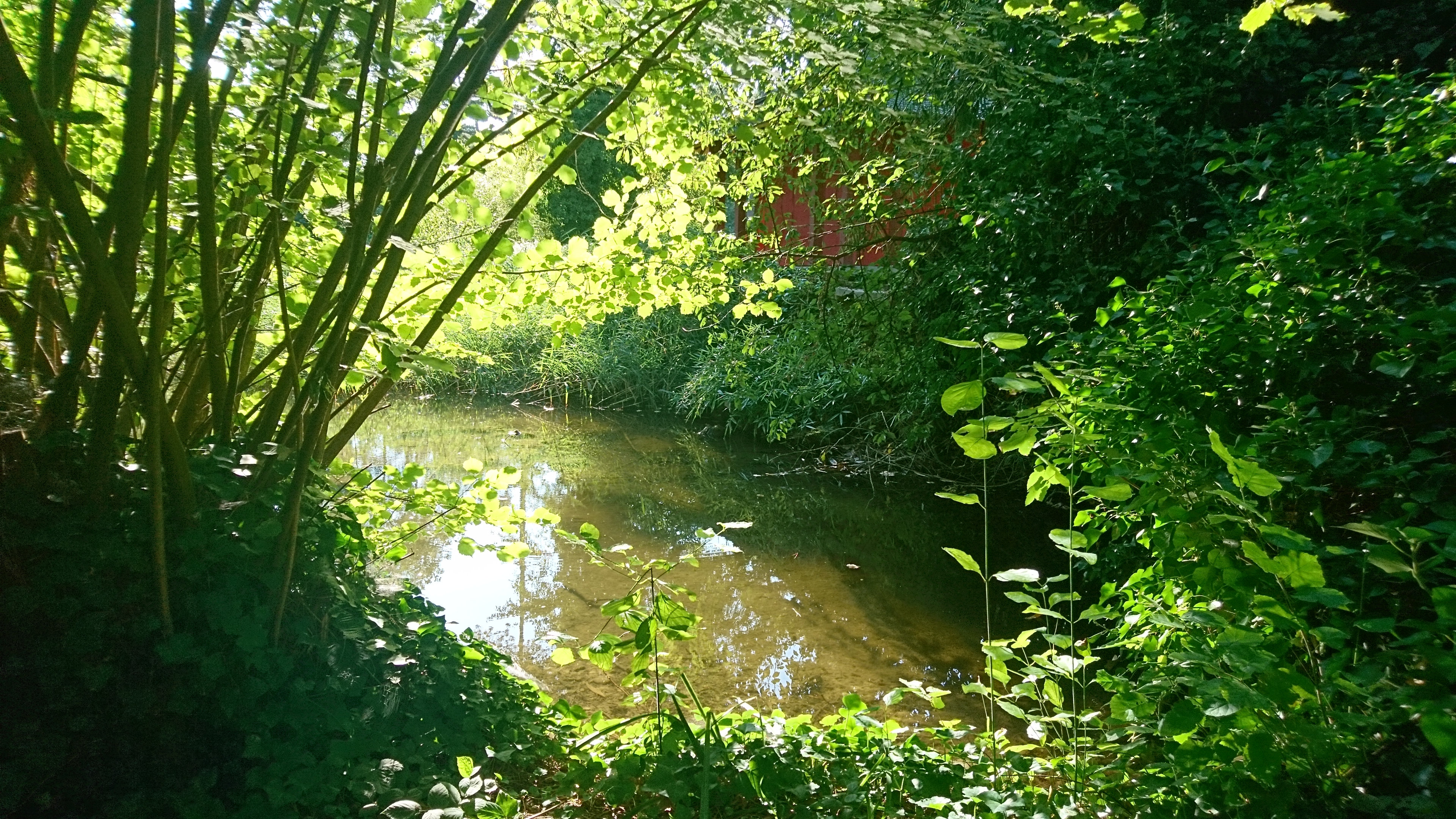 Photo n° 1 de l'avis de Yami.o fait le 05/09/2018 à 12:03