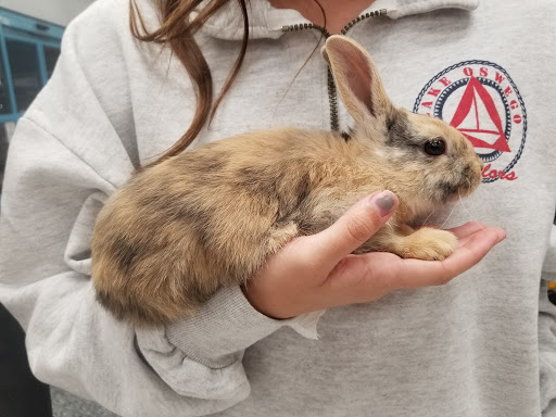 Pet Supply Store «Petco Animal Supplies», reviews and photos, 161 Plaza Dr, Vallejo, CA 94591, USA