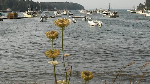 Nature Preserve «Johnson Field Preserve at Mackerel Cove», reviews and photos, 25 Abner Point Rd, Bailey Island, ME 04003, USA