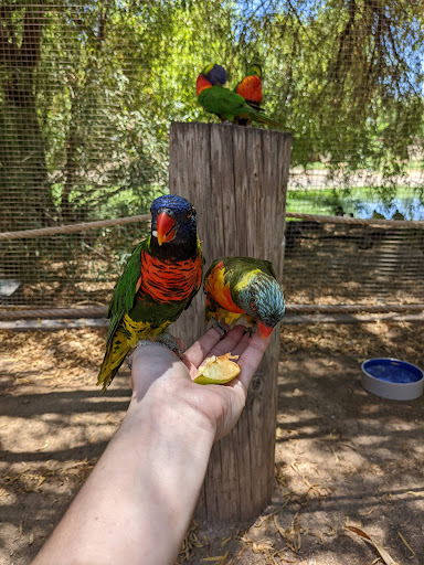 Zoo «Wildlife World Zoo, Aquarium & Safari Park», reviews and photos, 16501 W Northern Ave, Litchfield Park, AZ 85340, USA