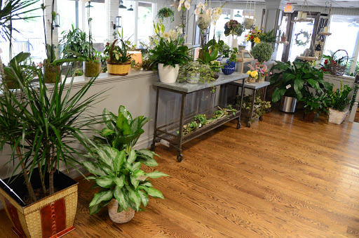 Florist «Country Squire Florist, Inc.», reviews and photos, 9601 Shelbyville Rd, Louisville, KY 40223, USA