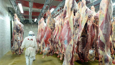 Société Vitréenne d'Abattage S.V.A. à Vitré