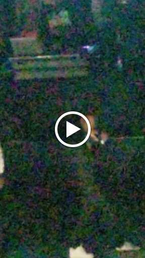 Concert Hall «The Wellmont Theatre», reviews and photos, 5 Seymour St, Montclair, NJ 07042, USA