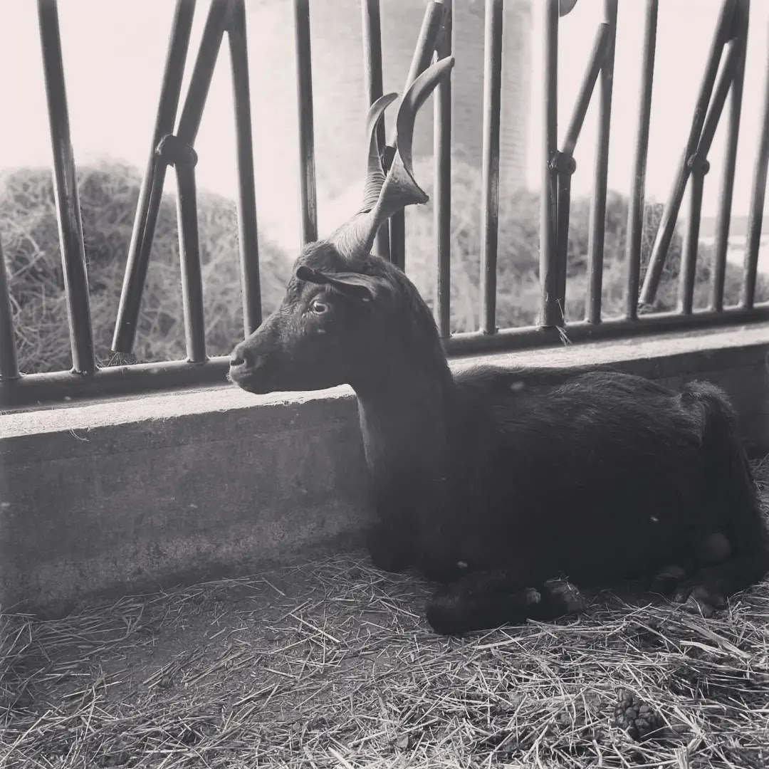 Photo n° 5 de l'avis de Aurélie.l fait le 20/03/2019 à 20:09