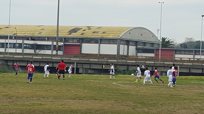 Comentarios y opiniones de Baby Fútbol Los Magos