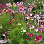 Photo n°5 de l'avis de Sandeep.a fait le 03/09/2018 à 13:35 sur le  Hotel Seenario à Tirschenreuth