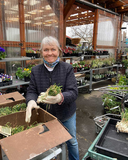 Home Improvement Store «Duvall True Value Hardware», reviews and photos, 15320 Brown Ave NE, Duvall, WA 98019, USA