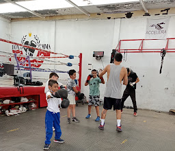 Hooligans Box & MMA photo