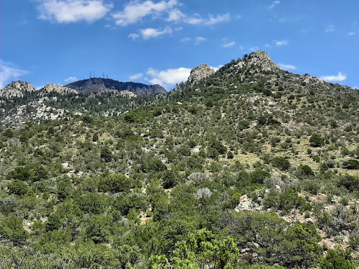 National forest Albuquerque