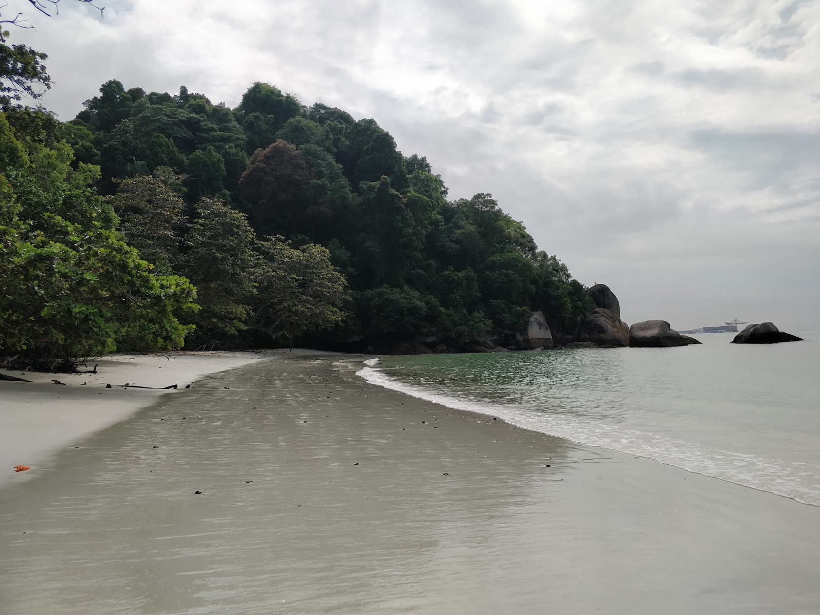 Photo of Teluk Segadas Beach with partly clean level of cleanliness