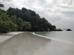 Teluk Segadas Beach'in fotoğrafı vahşi alan