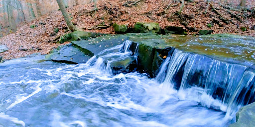 National Park «Cuyahoga Valley National Park», reviews and photos