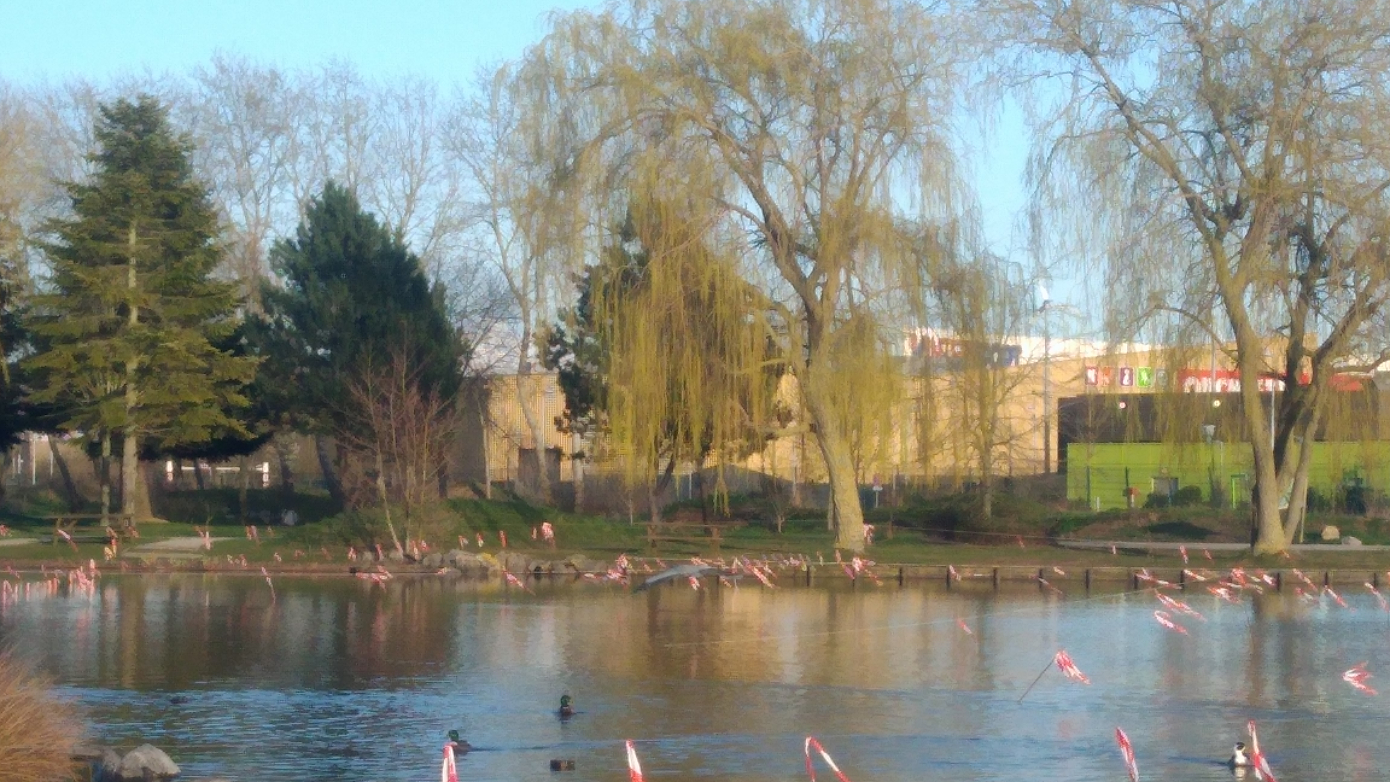 Photo n° 2 de l'avis de Patrick.O fait le 20/04/2019 à 19:37