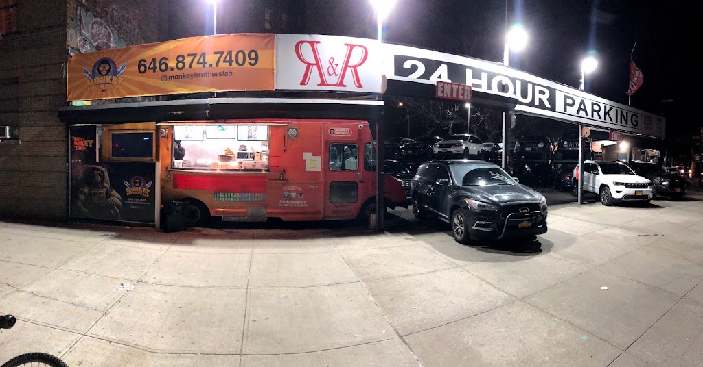 Monkey Brothers Lab 10034