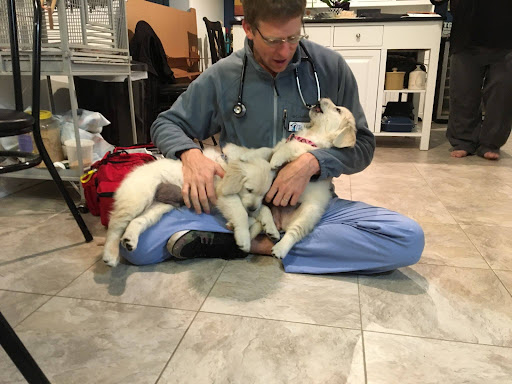 18 Silverwood Blvd, Newark, DE 19711, USA