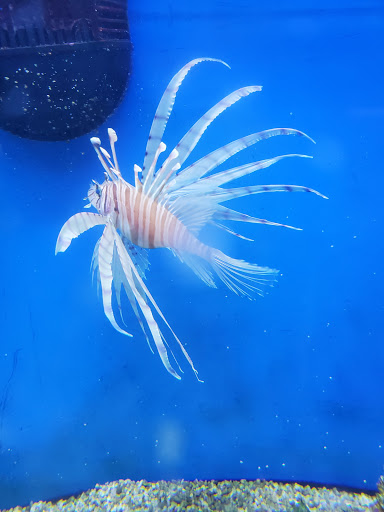 Pet Supply Store «Petco Animal Supplies», reviews and photos, 15475 Annapolis Rd #100, Bowie, MD 20715, USA