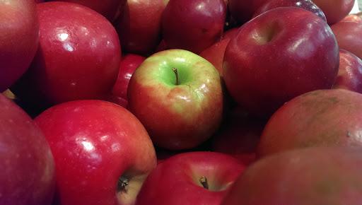 Supermarket «Best Market Shirley», reviews and photos, 800 Montauk Hwy, Shirley, NY 11967, USA