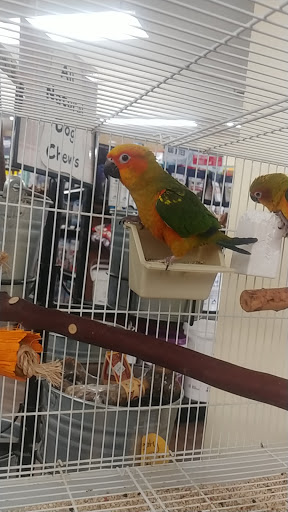 Pet Store «The Pet Works», reviews and photos, 1257 Commerce Ave, Longview, WA 98632, USA