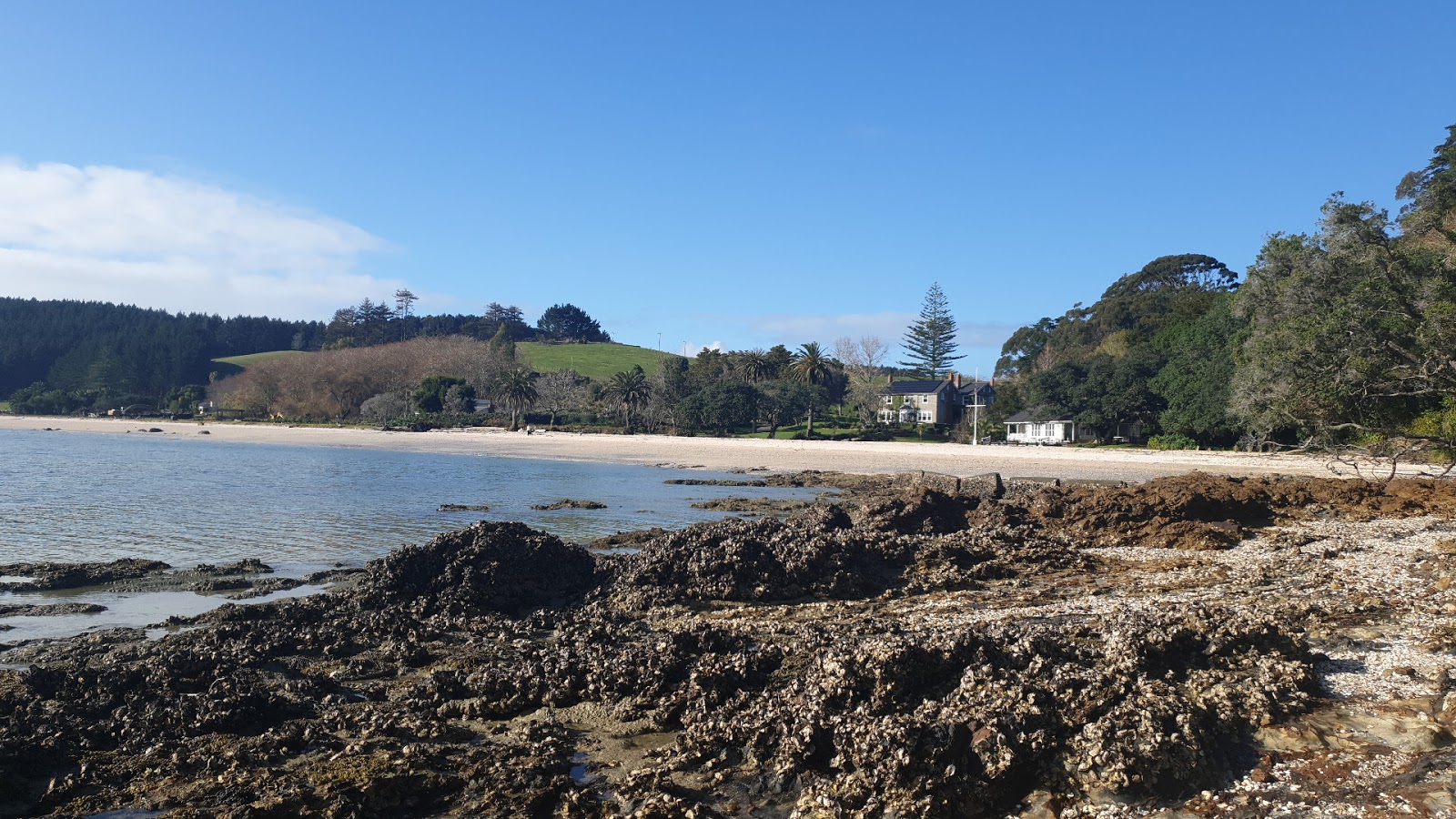 Wairoa Bay的照片 带有小米色卵石表面