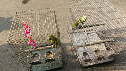 魯旦寵物鳥園