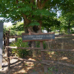 Photo n°6 de l'avis de Carlo. fait le 01/08/2023 à 15:14 sur le  I Giardini di Ararat à Bagnaia