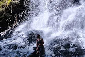 Cachoeira de Amélia image