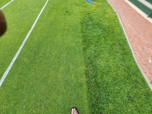 Museum «International Tennis Hall of Fame», reviews and photos, 194 Bellevue Ave, Newport, RI 02840, USA