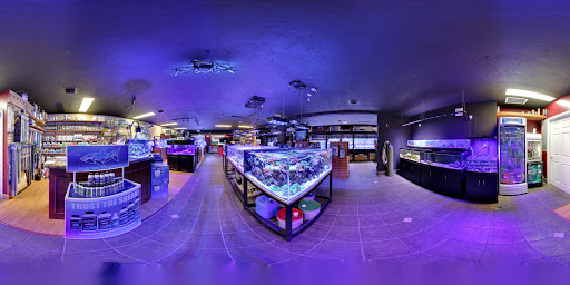 Pet Store «Reeftop Aquariums-Pet Boutique», reviews and photos, 13250 SW 87th Ave, Miami, FL 33176, USA