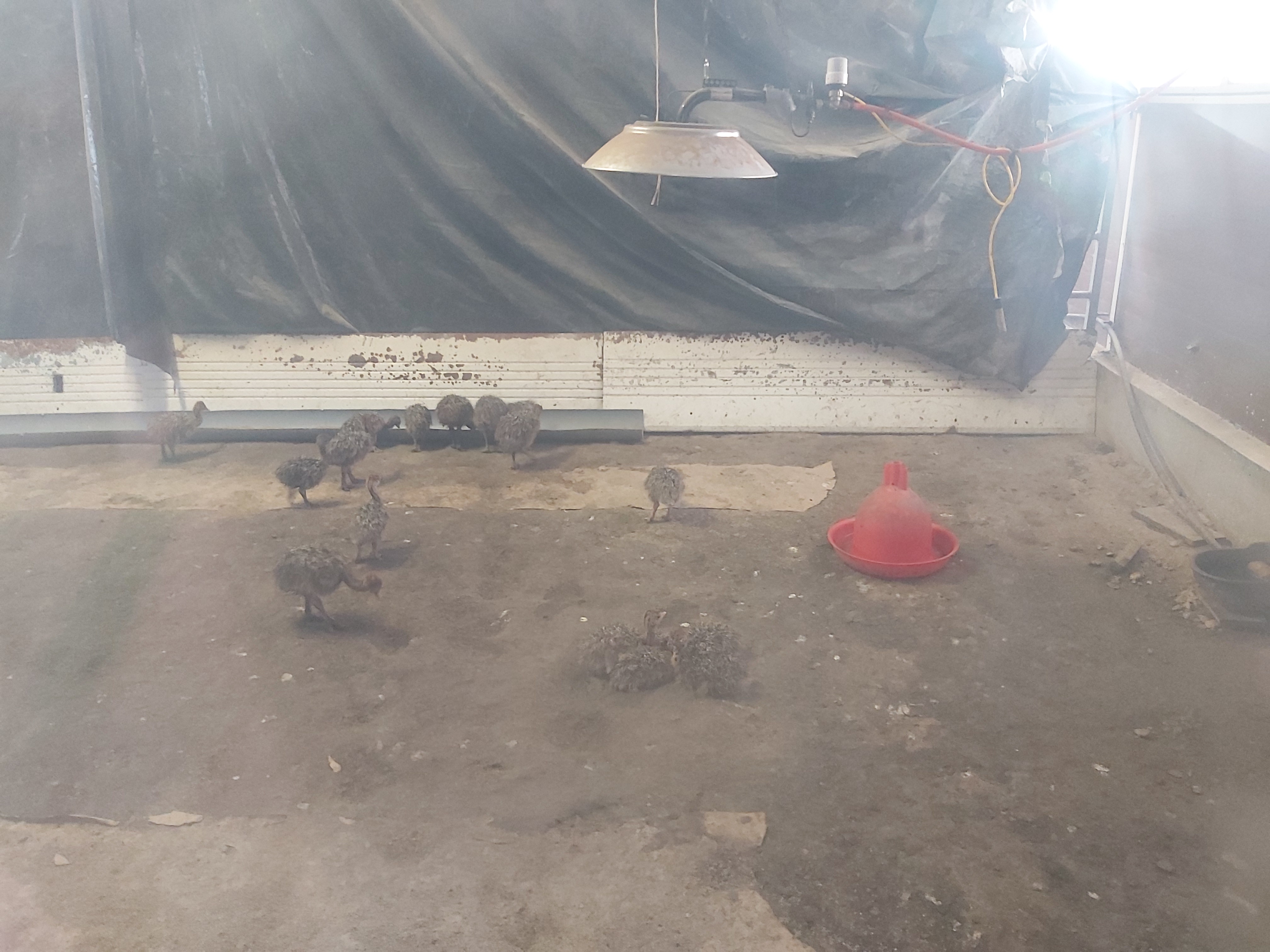 Photo n° 6 de l'avis de Guigeek_22. fait le 25/07/2020 à 21:01