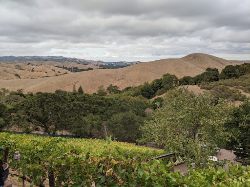 Vineyard «Captain Vineyards», reviews and photos, 1969 Joseph Dr, Moraga, CA 94556, USA