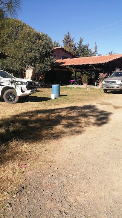 DESAYUNOS Y PAJARETES LA PARCELA